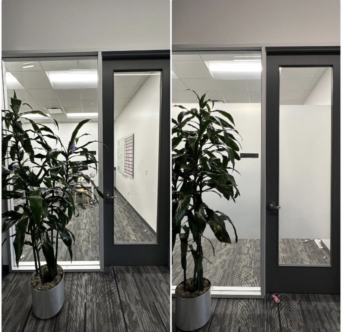 Office glass before and after frosted privacy film